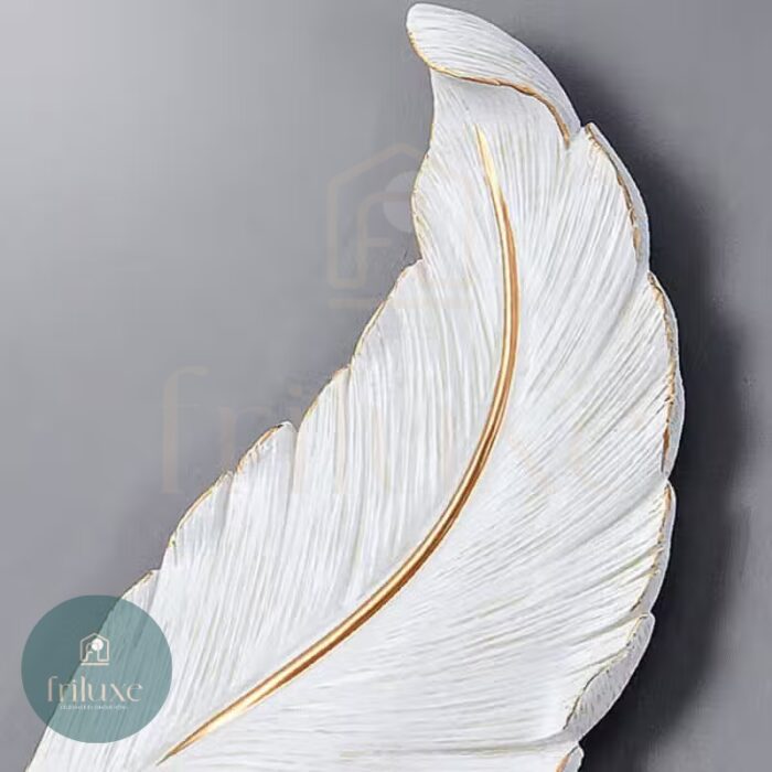 pluma 5