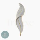 pluma 6